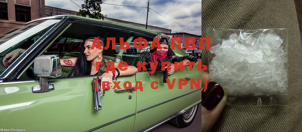 стафф Алзамай