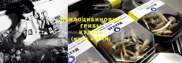 стафф Алзамай